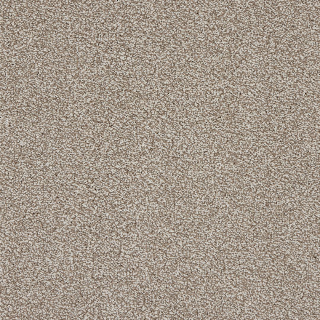StainFree Rapport Twist Carpet