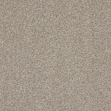 StainFree Rapport Twist Carpet
