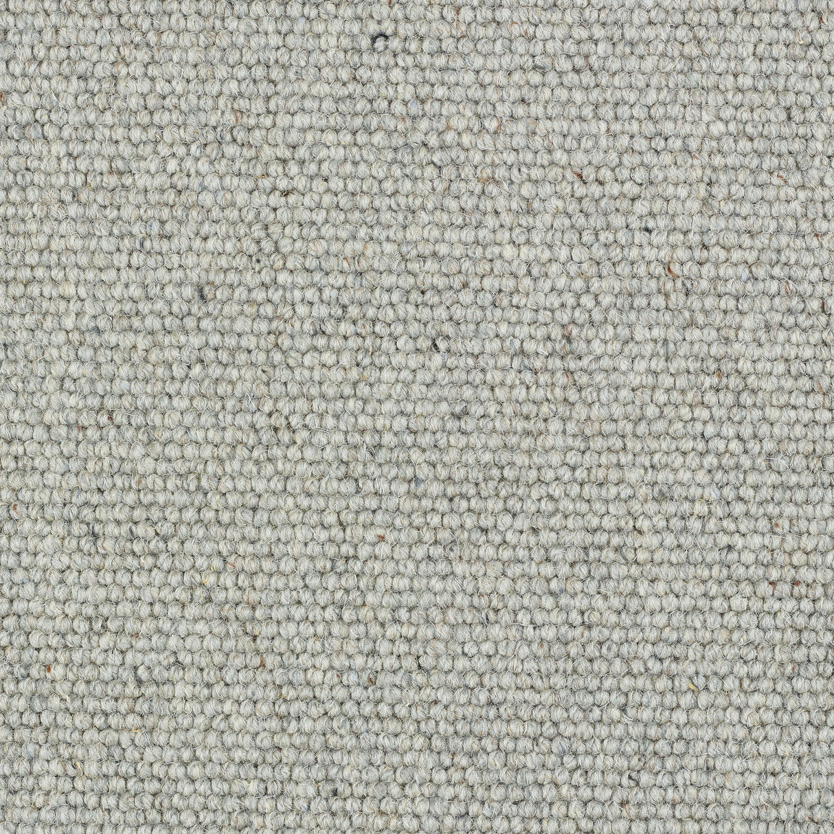 Abingdon Charter Berber Loop - Dolphin Grey Carpet