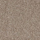 StainFree Rapport Twist Carpet