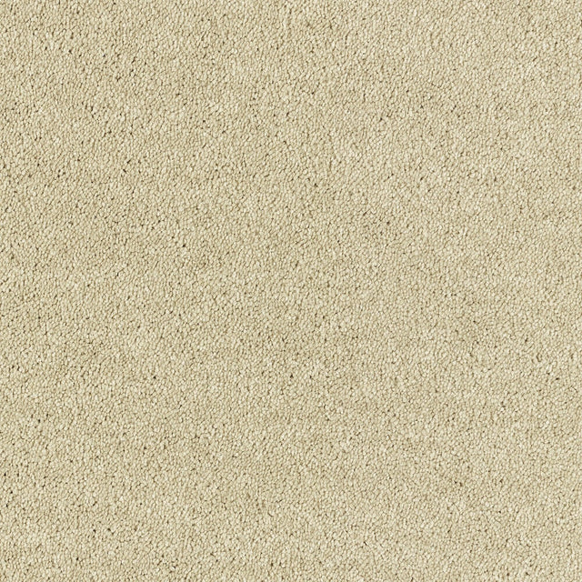 Abingdon Lasting Romance - Chenille Carpet – by Abingdon Flooring – 1