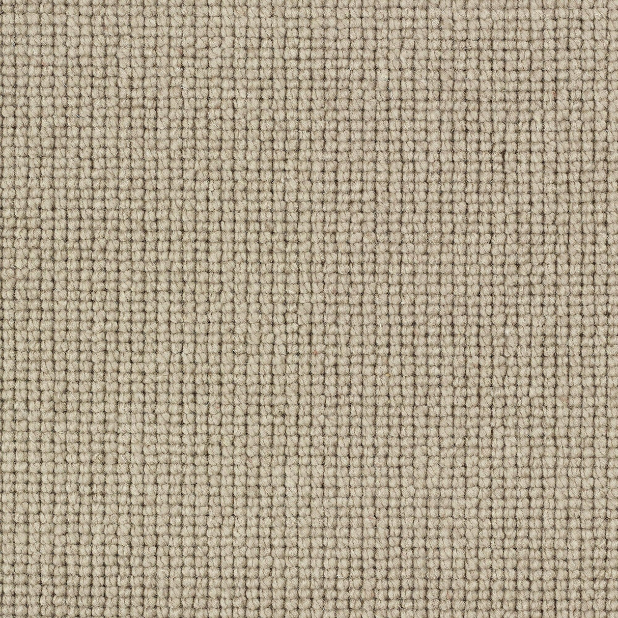 Charter Plain Loop Carpet