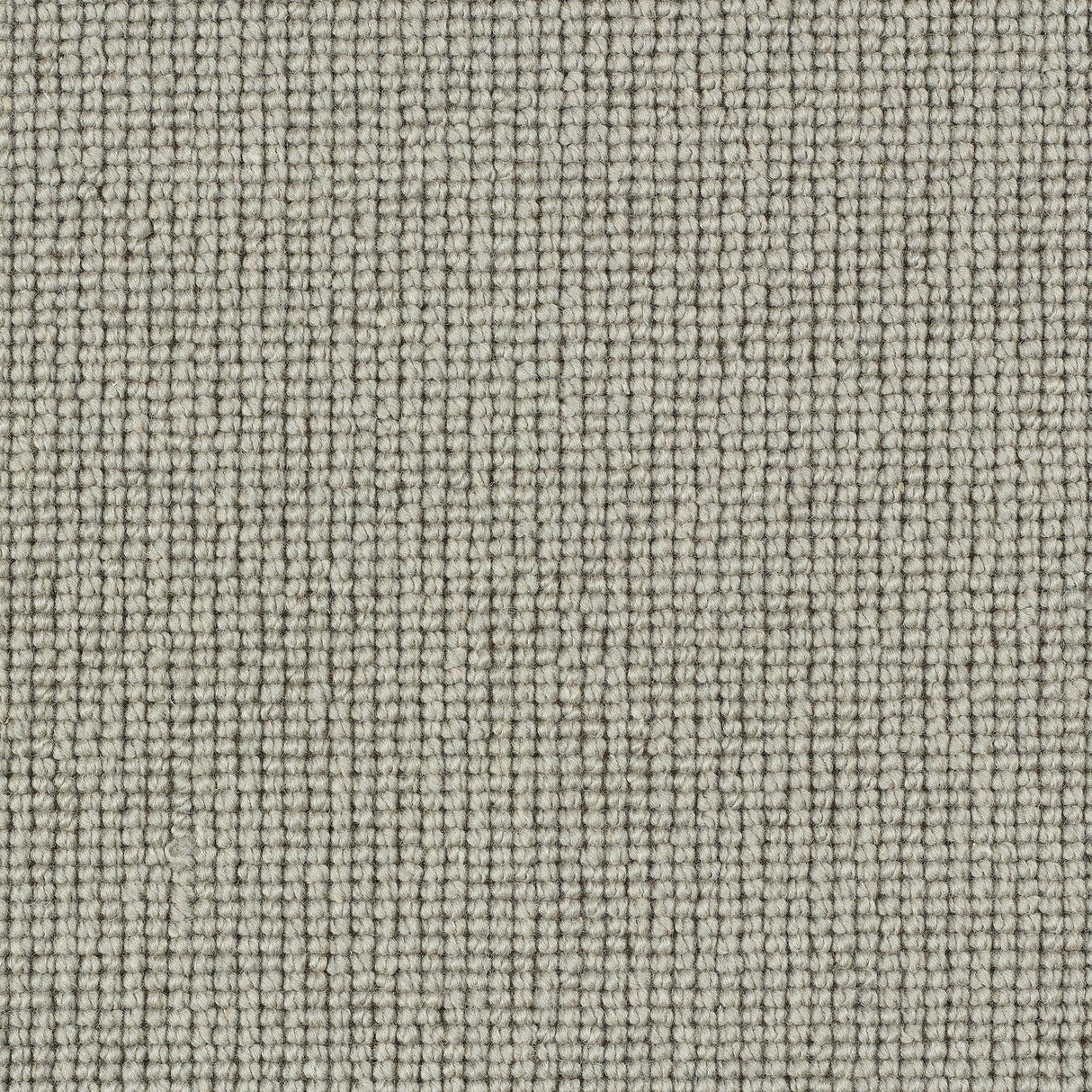 Charter Plain Loop Carpet