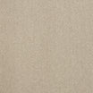 Abingdon Pure Elegance polypropylene twist carpet, soft underfoot in Nimbus Cloud