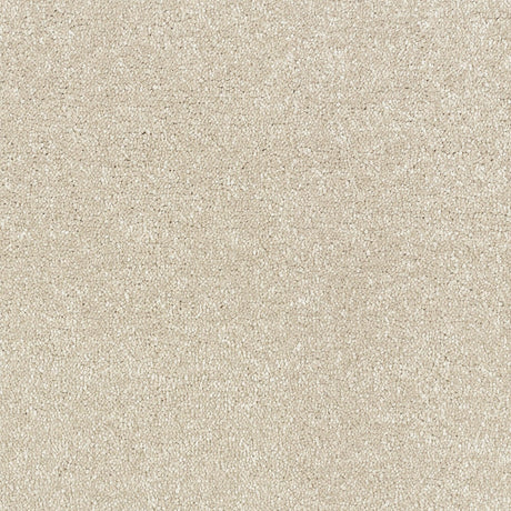 Abingdon Stainfree Satin Touch - Calico Carpet – by Abingdon Flooring – 1