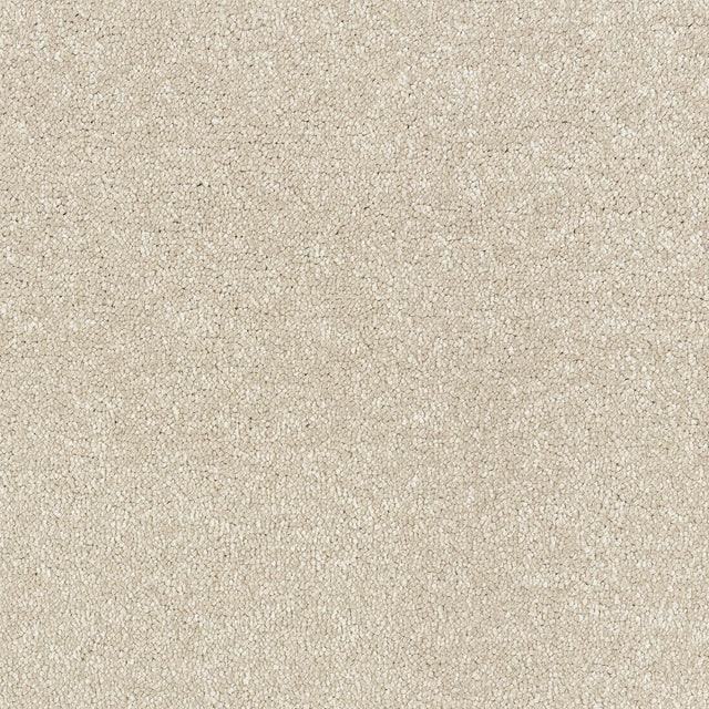 Abingdon Stainfree Satin Touch - Calico Carpet – by Abingdon Flooring – 1