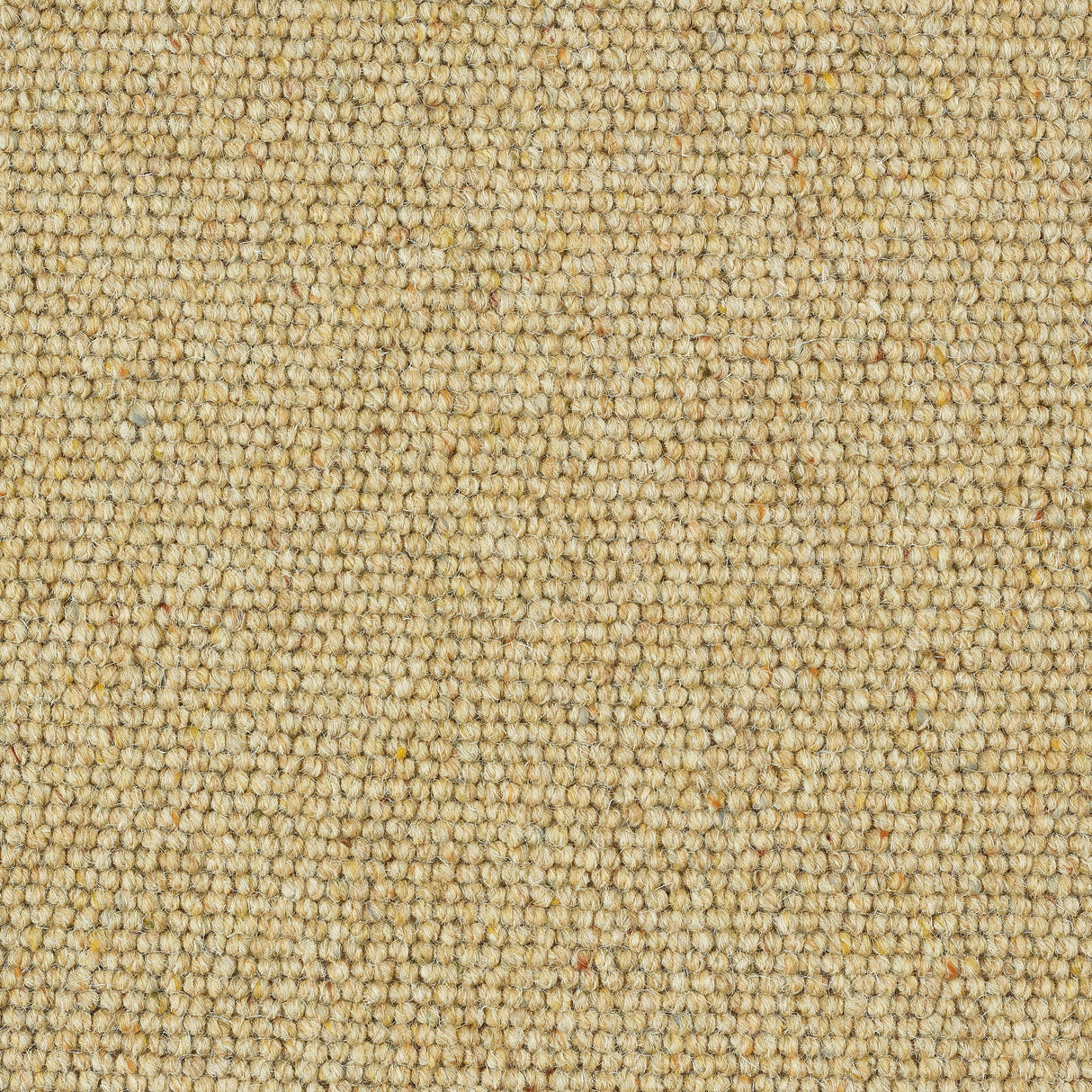 Charter Berber Loop Carpet