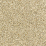 Abingdon Deep Feelings - Cornsilk Carpet – by Abingdon Flooring – 1