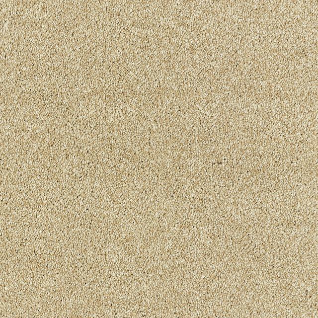 Abingdon Deep Feelings - Cornsilk Carpet – by Abingdon Flooring – 1