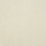 Pure Elegance Carpet