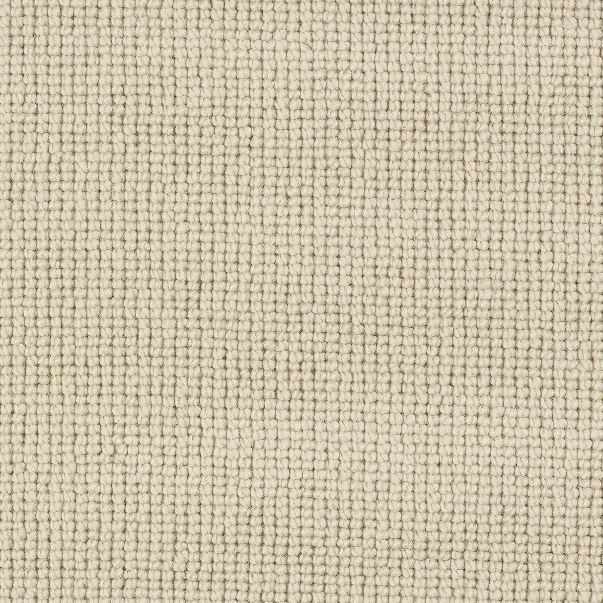 Charter Plain Loop Carpet