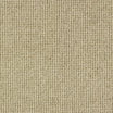 Stylish abingdon Charter Plain wool loop carpet in Drysdale