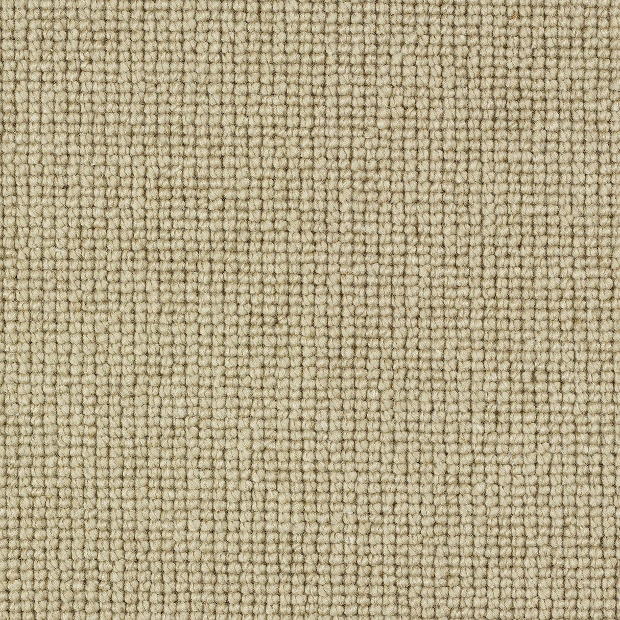 Charter Plain Loop Carpet