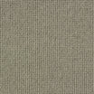Premium abingdon Charter Plain wool loop carpet in Drysdale