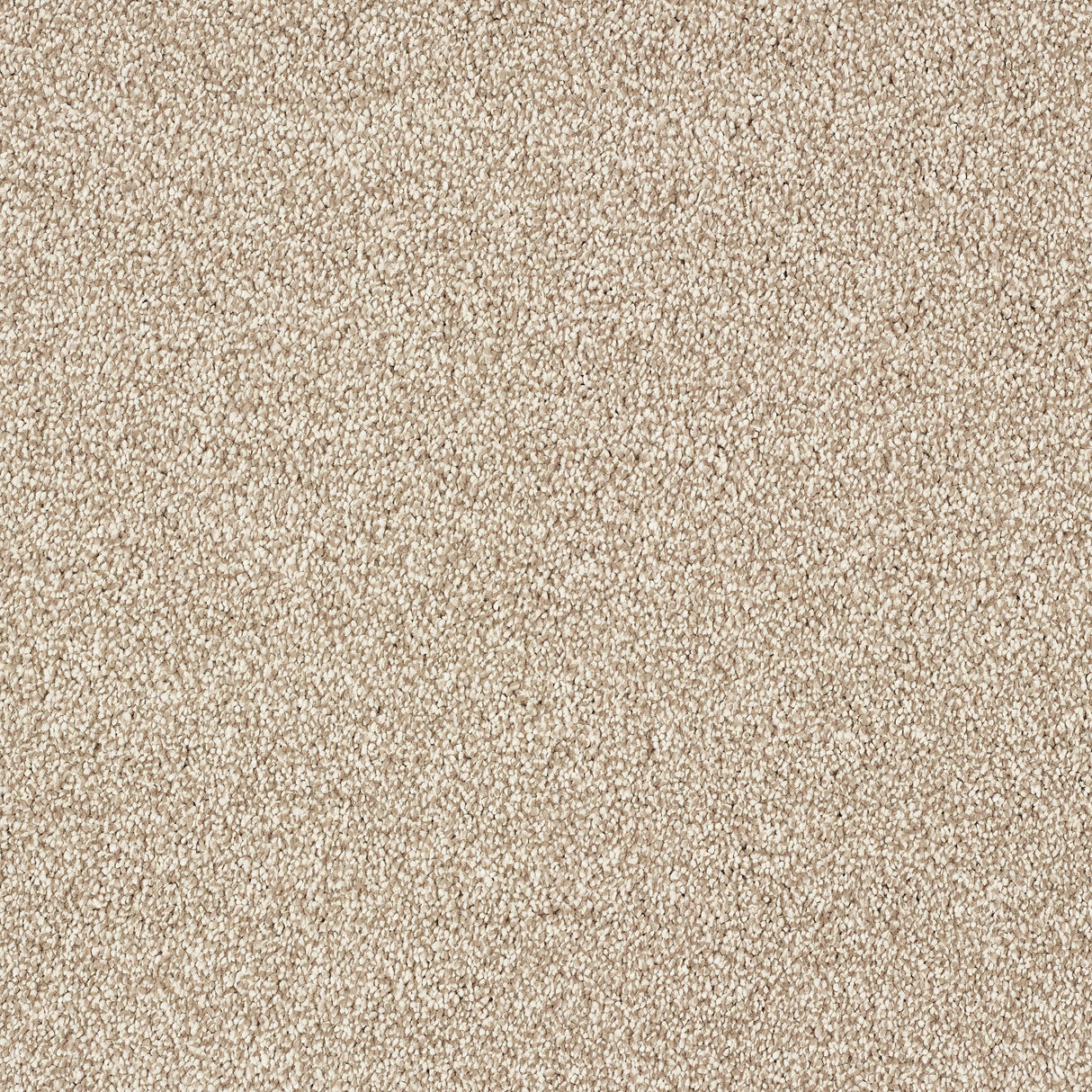 Abingdon Stainfree Panache - Nutmeg Carpet
