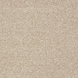 Abingdon Stainfree Panache - Nutmeg Carpet