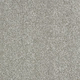 Abingdon Stainfree Panache - Dove Grey Carpet