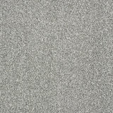 Abingdon Stainfree Panache - Silver Dollar Carpet