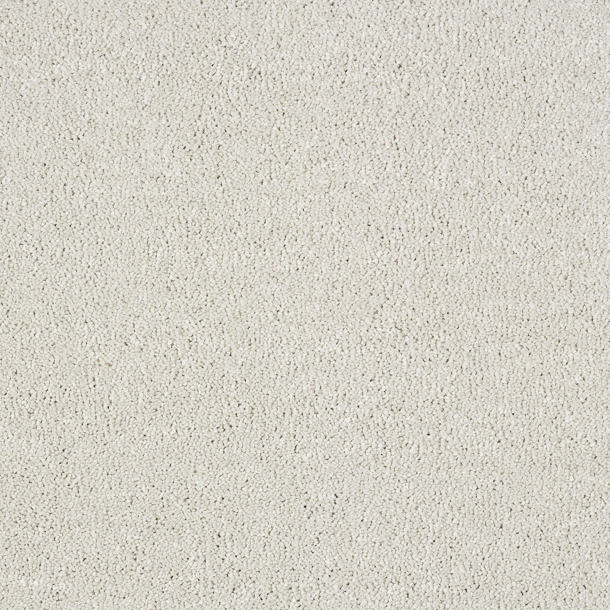 Abingdon Stainfree Panache - Cool Mist Carpet