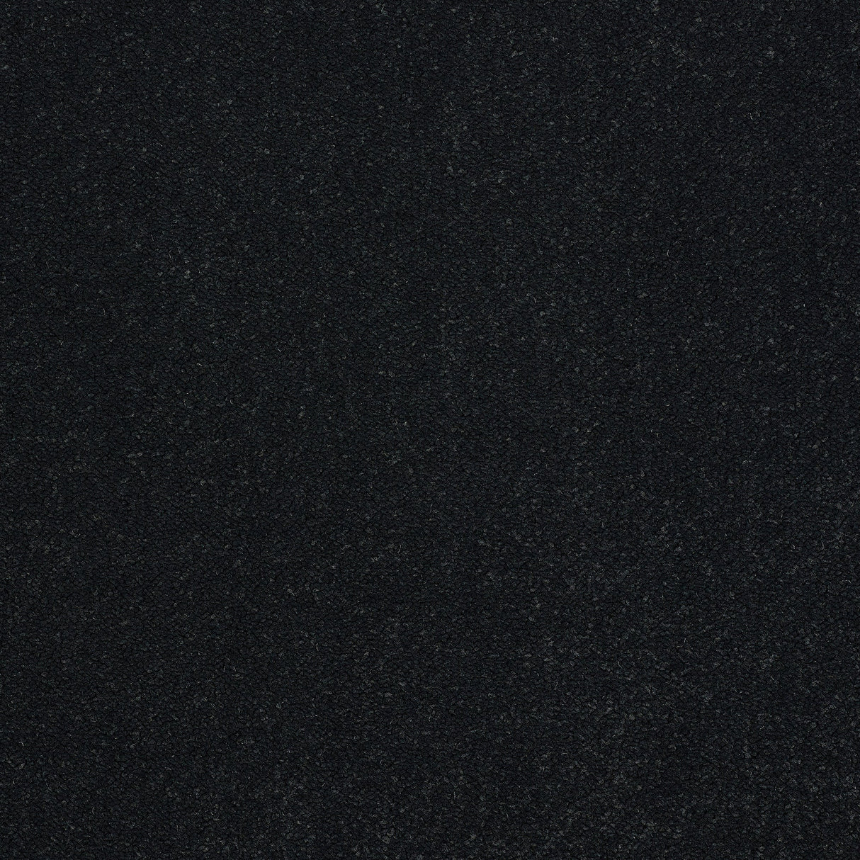 Captivation Twist Carpet