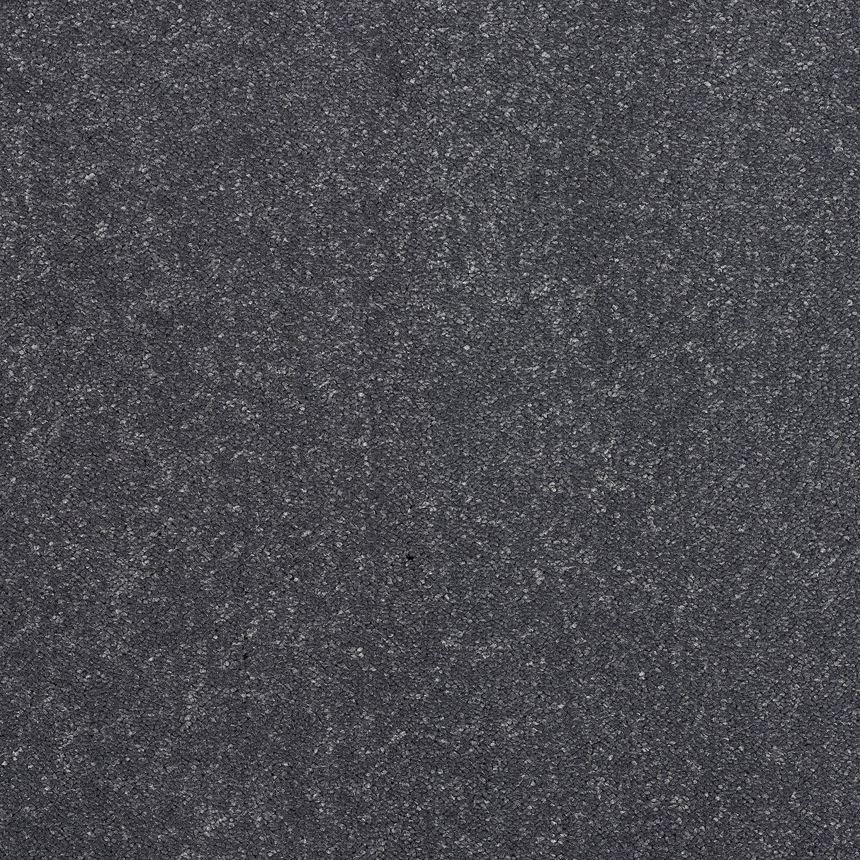 Abingdon Captivation - Sapphire Carpet