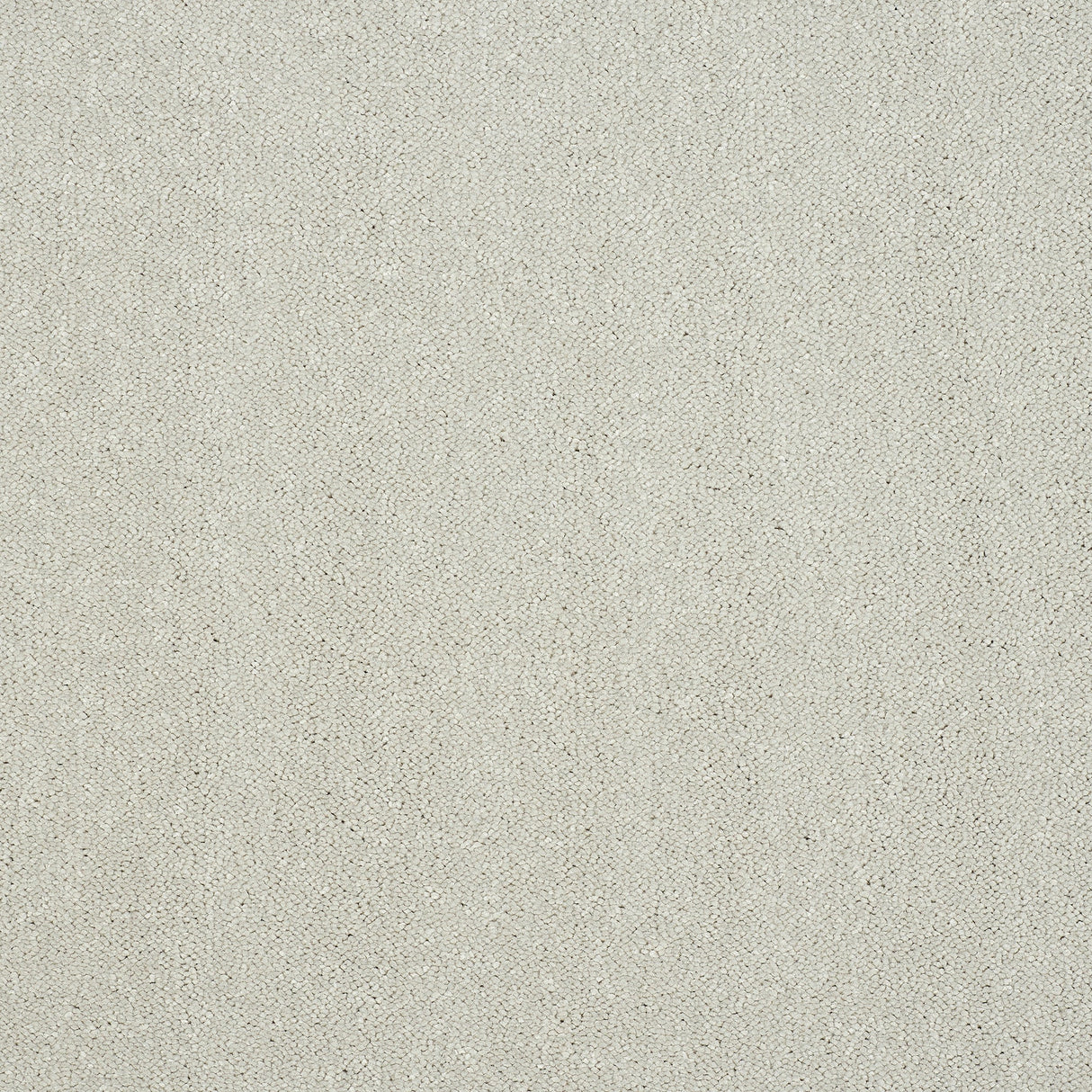 Captivation Twist Carpet