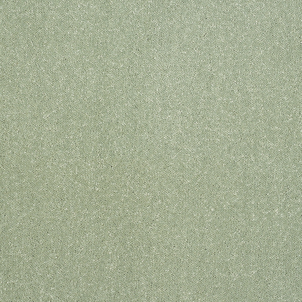 Captivation Twist Carpet