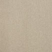 Hard-wearing abingdon Captivation soft twist carpet in Black Raven