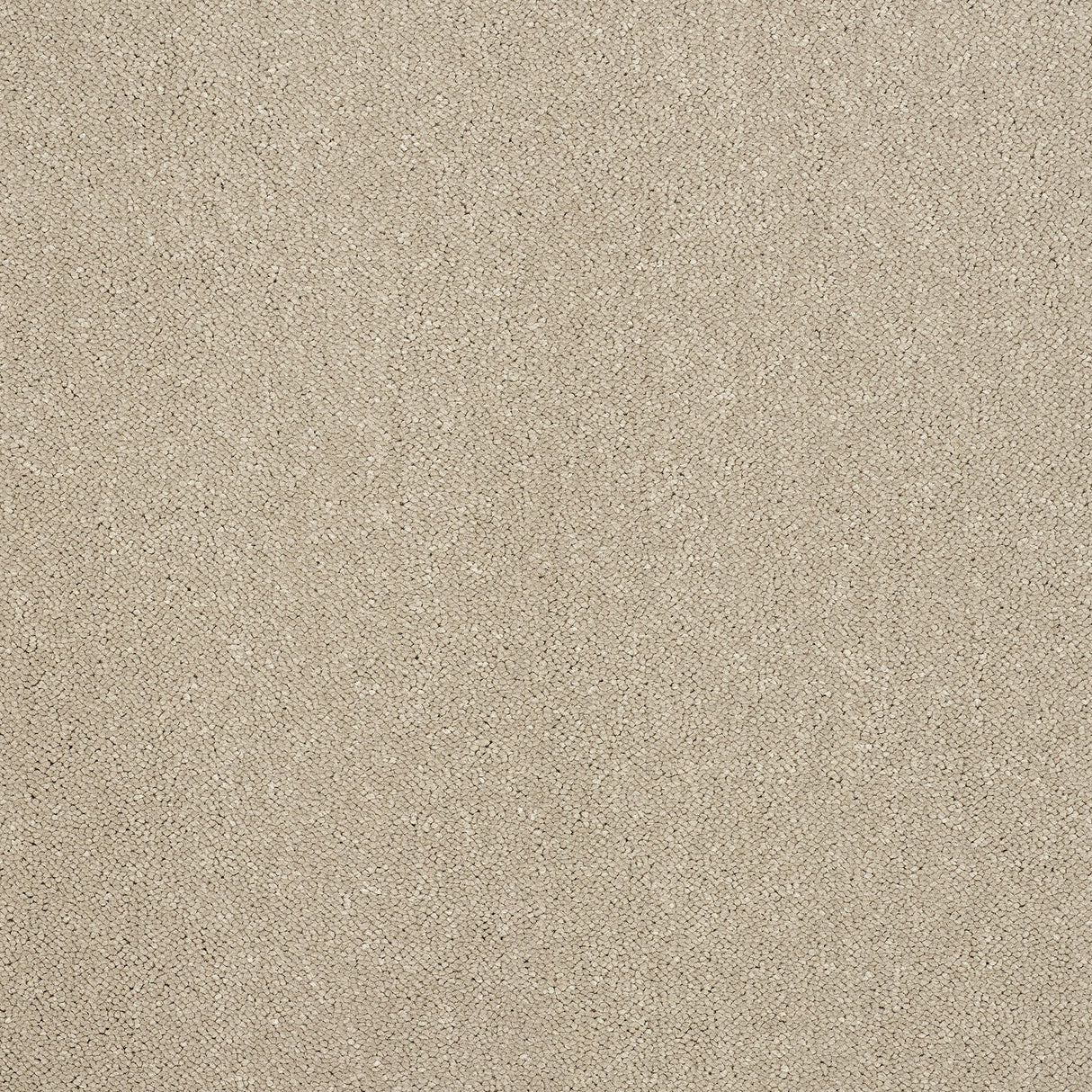 Captivation Twist Carpet