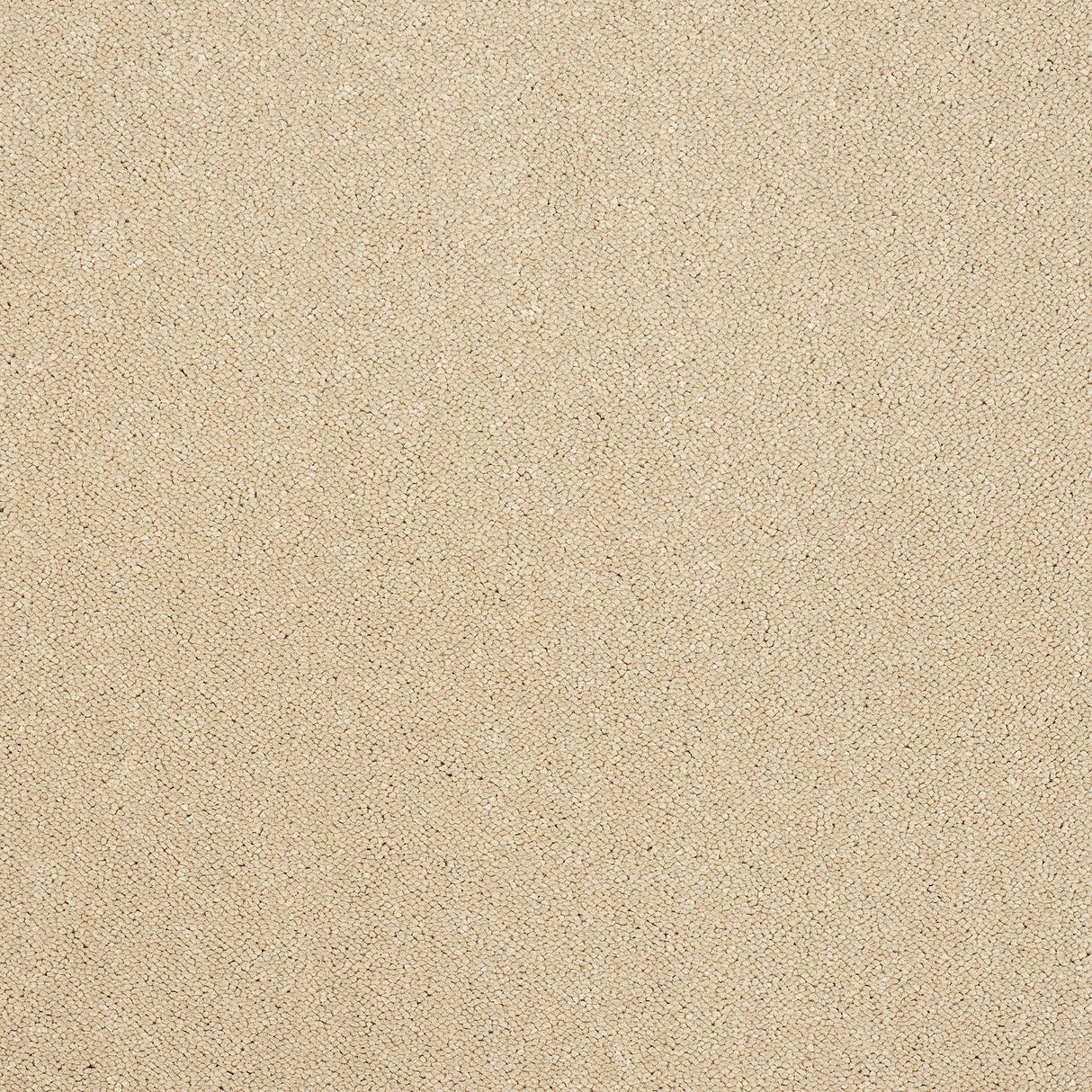 Captivation Twist Carpet