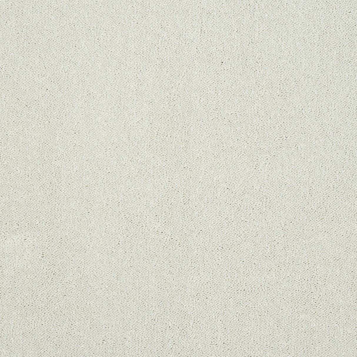 Captivation Twist Carpet