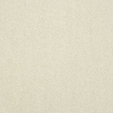 Captivation Twist Carpet