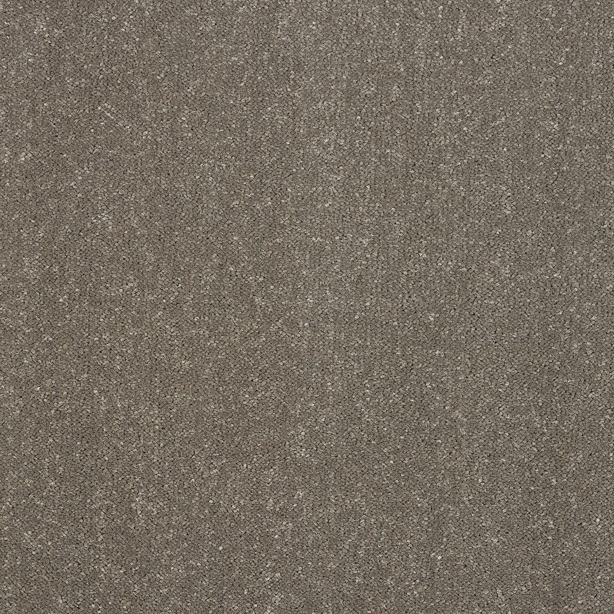 Captivation Twist Carpet