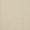 Soft and durable abingdon Captivation soft twist carpet in Black Raven