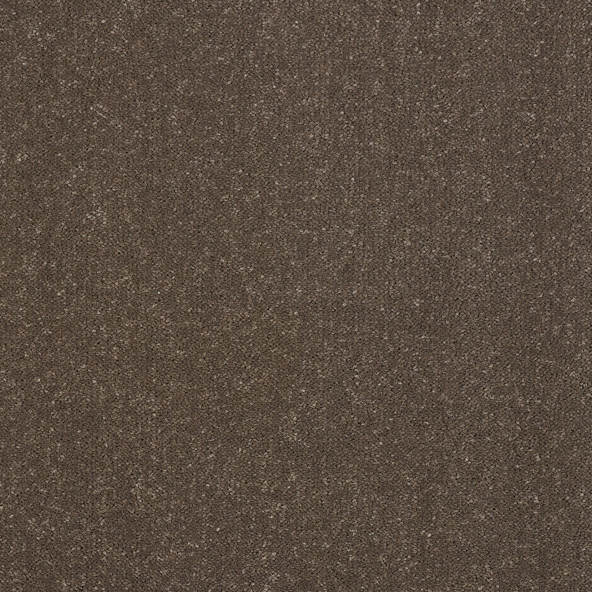 Captivation Twist Carpet