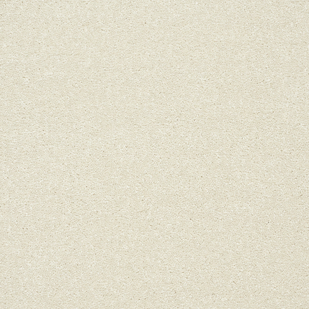 StainFree Twist Carpet