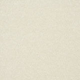 StainFree Twist Carpet