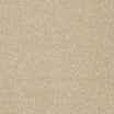 StainFree Twist Carpet