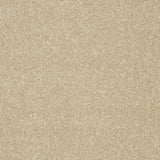 StainFree Twist Carpet