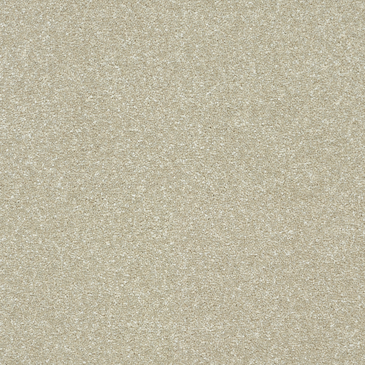 Abingdon Stainfree Twist - Dove Carpet