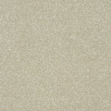 Abingdon Stainfree Twist - Dove Carpet