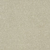 StainFree Twist Carpet