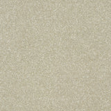 StainFree Twist Carpet