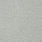 Abingdon Stainfree Twist - Smoke Carpet