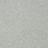 StainFree Twist Carpet