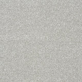 StainFree Twist Carpet