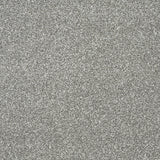 Abingdon Stainfree Twist - Battleship Carpet