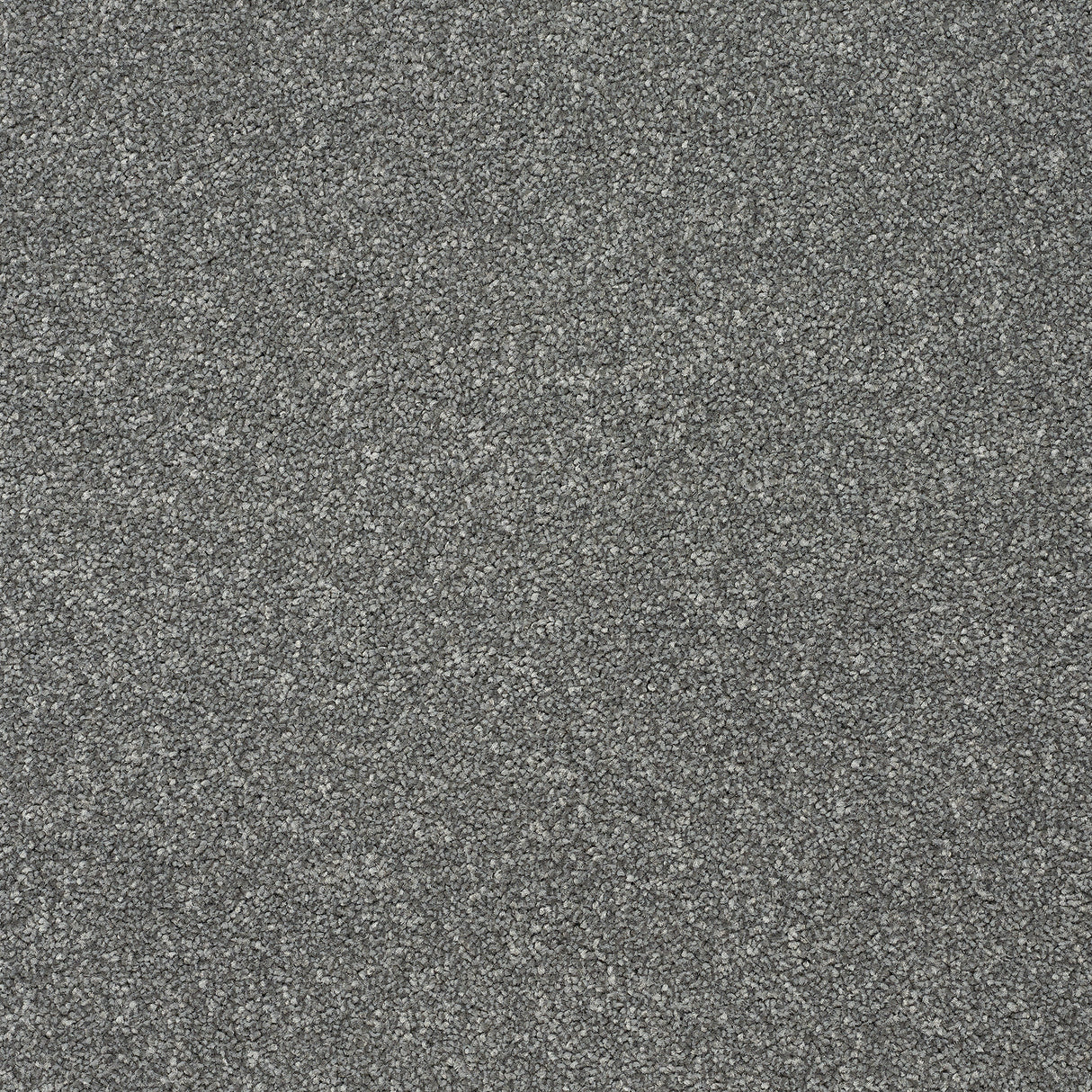 Abingdon Stainfree Twist - Grey Steel Carpet