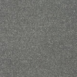 Abingdon Stainfree Twist - Grey Steel Carpet