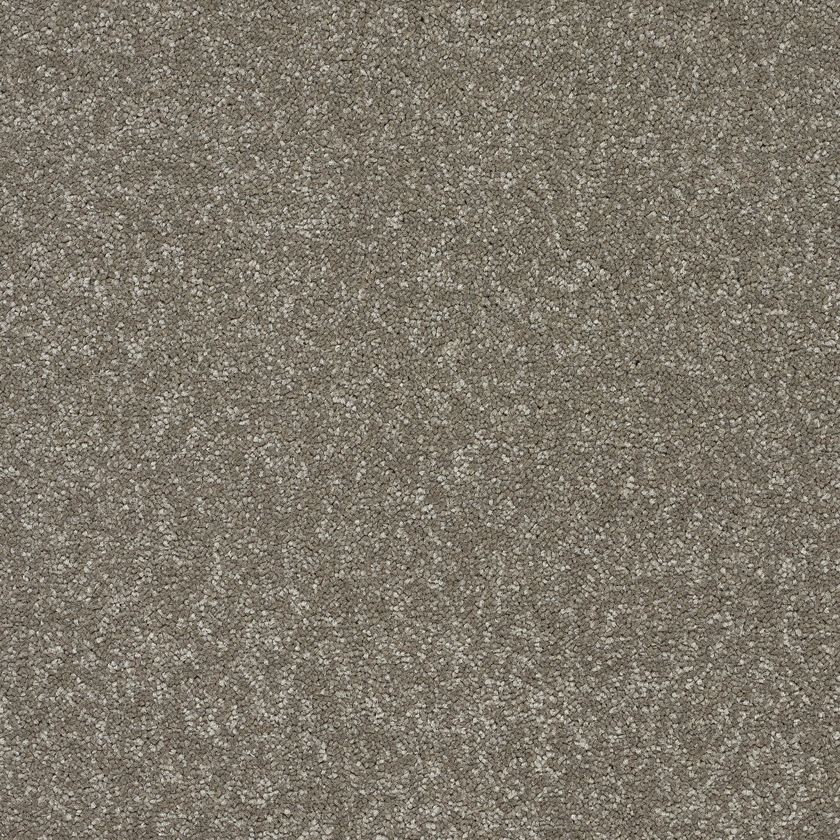 Abingdon Stainfree Twist - Velvet Crush Carpet